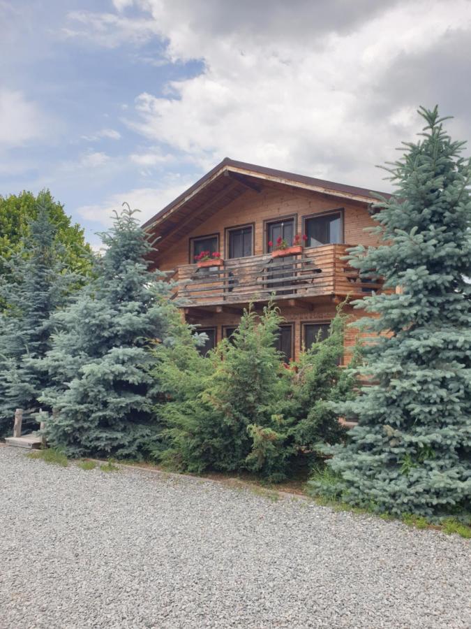 Daiana Residence Cabane Turda Exterior photo