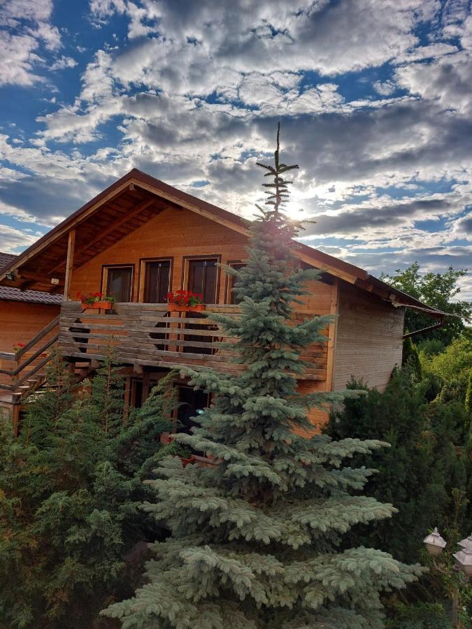 Daiana Residence Cabane Turda Exterior photo